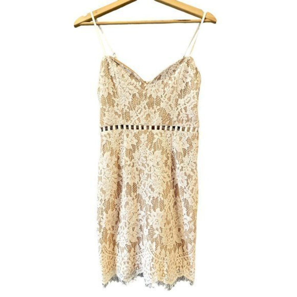 Tobi Cream Lace Mini Dress Tan Lining Ladder Cutout Eyelash Trim‎ NWT Small
